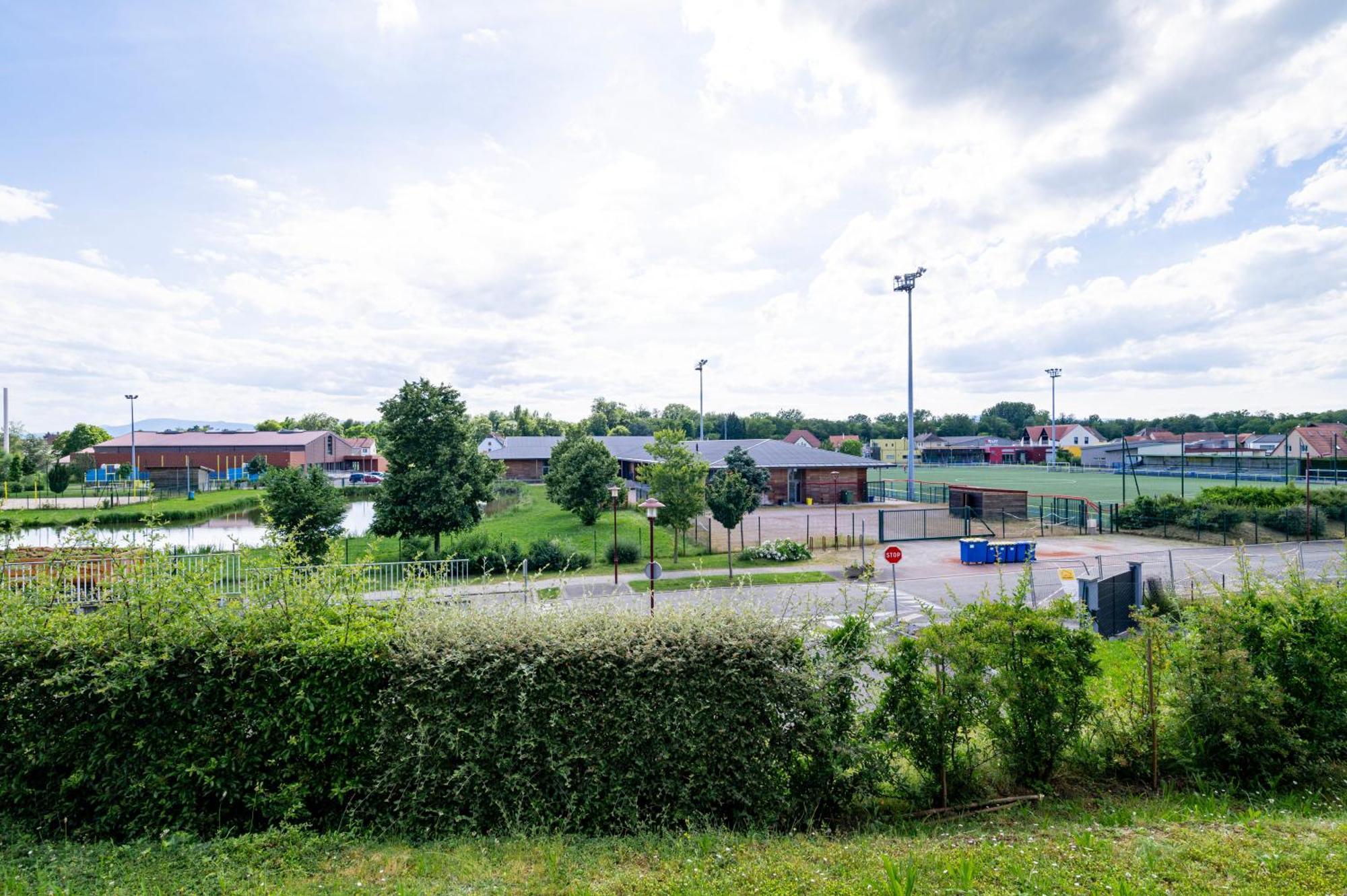 Apartamento Chez Virgil - Terrasse Vue Degagee, Parking Prive Ernolsheim-Bruche Exterior foto